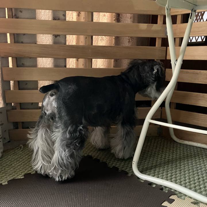 087fa10f 68a3 4474 b23d 64337811c8d0 1717891969028