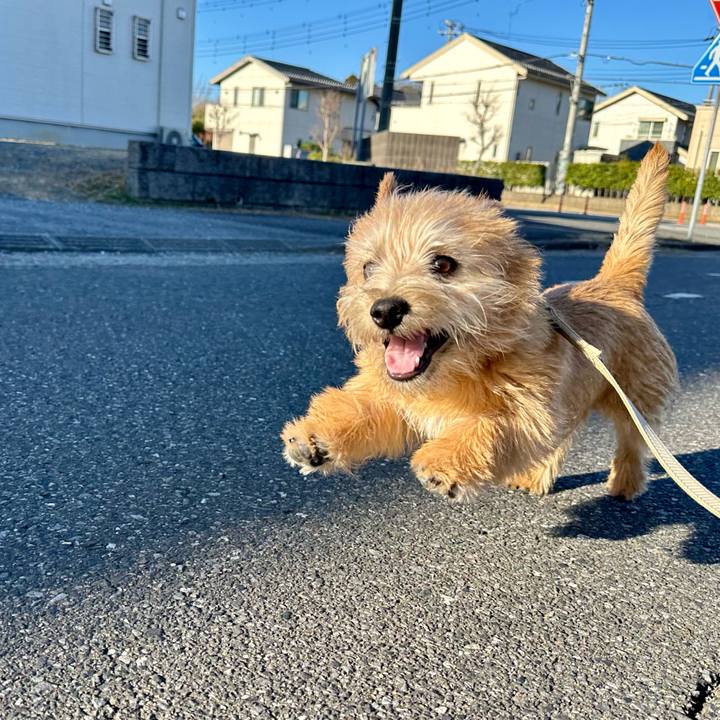 087fb75e 08ce 4d73 9041 b7eb6a599dea 1709474987227