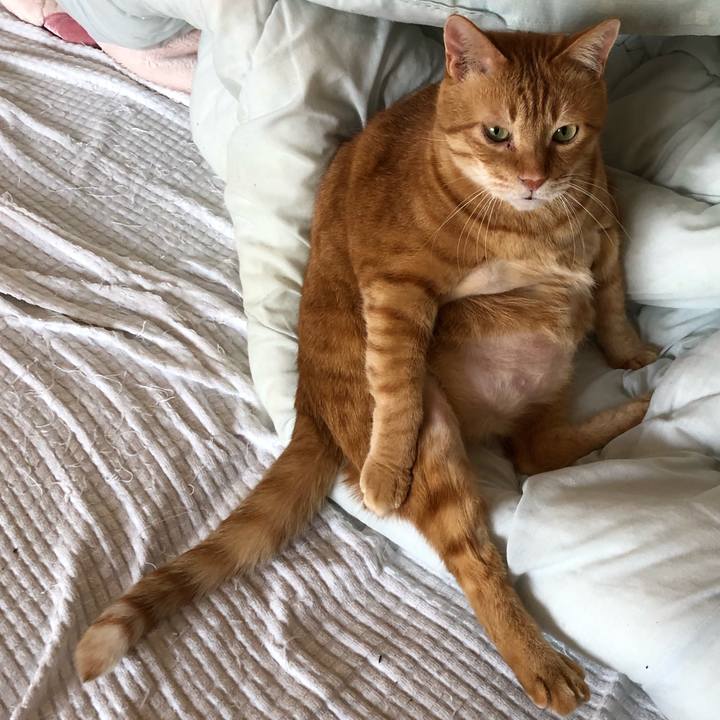 087fcce6 0615 4416 bea6 f9812f3e414b 1650095602563