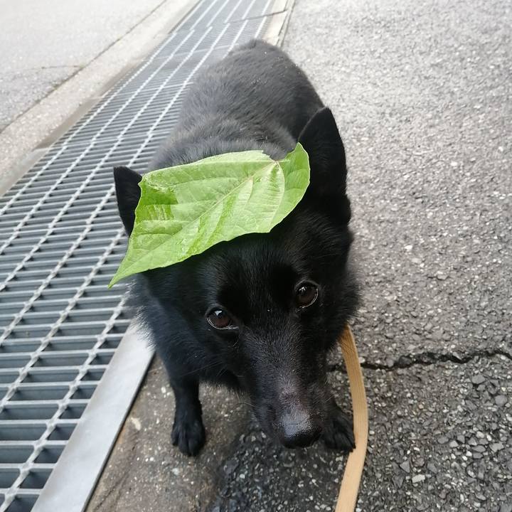 087fd116 ff20 4cdf 8376 951d425a7284 1631916931290