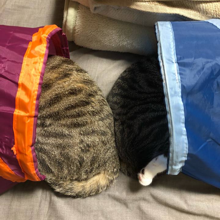 087fe34e e733 48e5 9e7b fa5f67d597e5 1524272283144