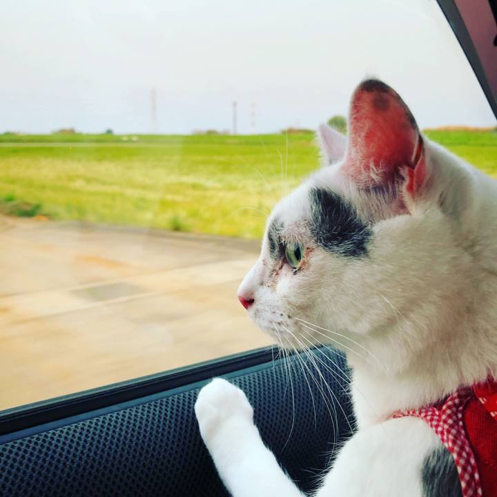 08800018 2959 40fa be28 b990dc29161d 1557356014499