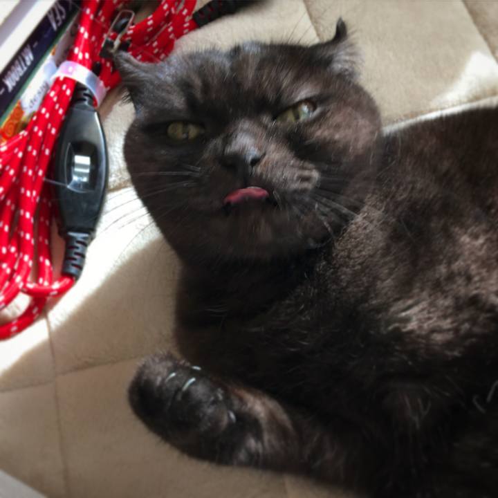 08800f0b 87ab 4cec ada2 aed4d3d1071d 1513394701980