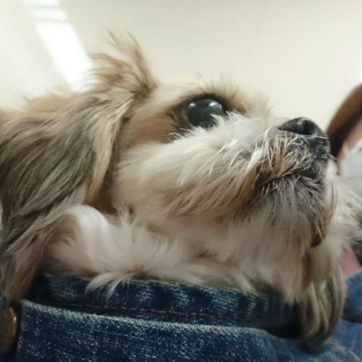 088014a4 795c 4de8 ae3f 54ad91562f5e 1510415806398