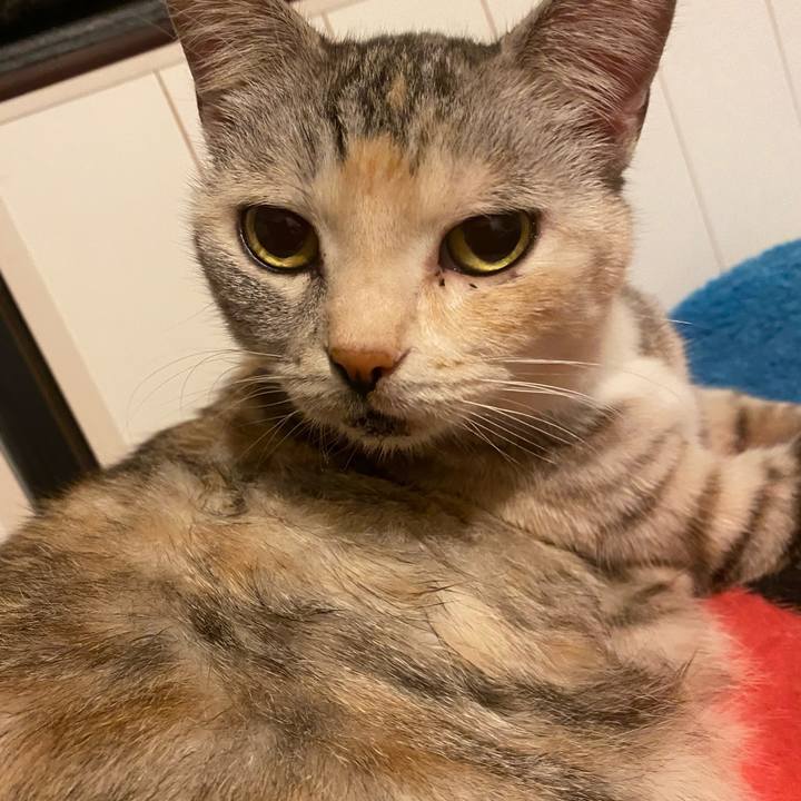 0880768a d808 430c 8bb3 ab42c83a9c46 1637504224307