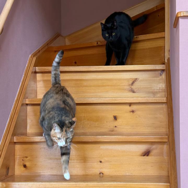 0880a947 a429 4088 a6ed 2152a65046dc 1772059468413