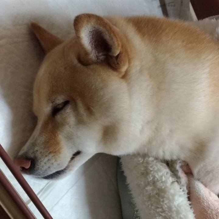 0880cb4c 82ec 4933 b365 1095fb9b2896 1603019114870