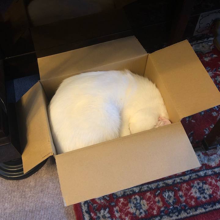 0880d602 0583 43d9 b7b8 fa4ff50d7667 1590911679057