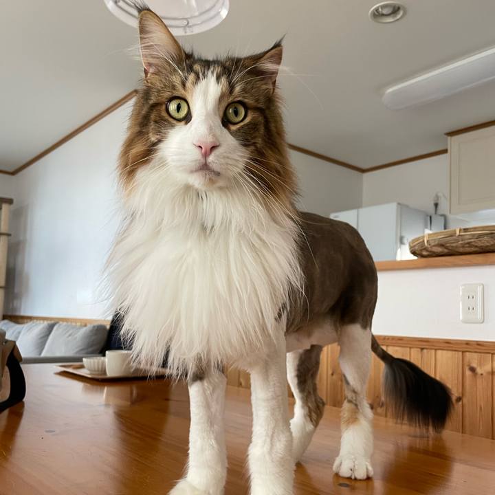 0880e97a 1891 4c28 8ace de9bd68a00d4 1687408273489