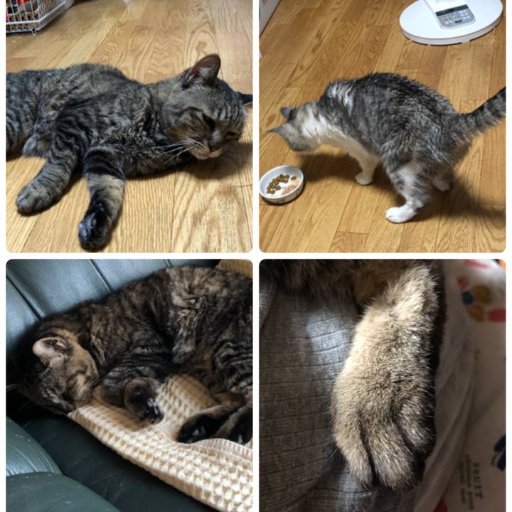 0880f413 4fed 40d1 ba94 c7ca83e1080f 1534237860756