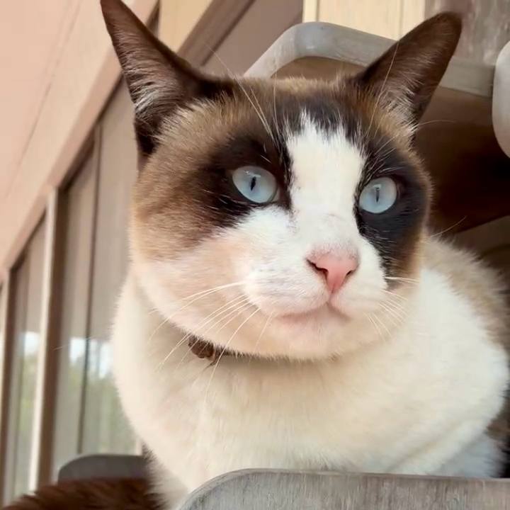 08810edb ba13 4cd5 a4dd 8fd1df0d8772 1774702490007