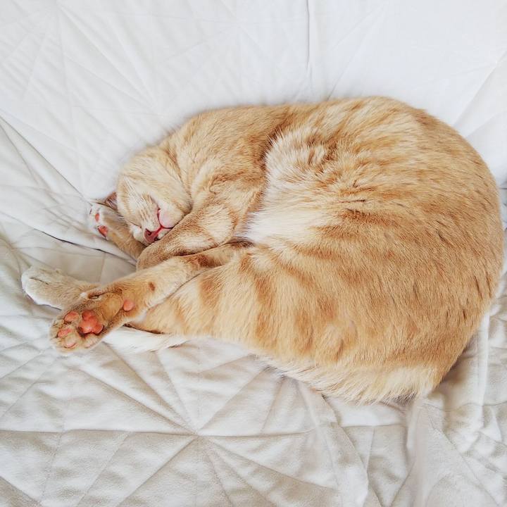 0881137f 4624 4f45 a401 912751bf73d1 1653518341687