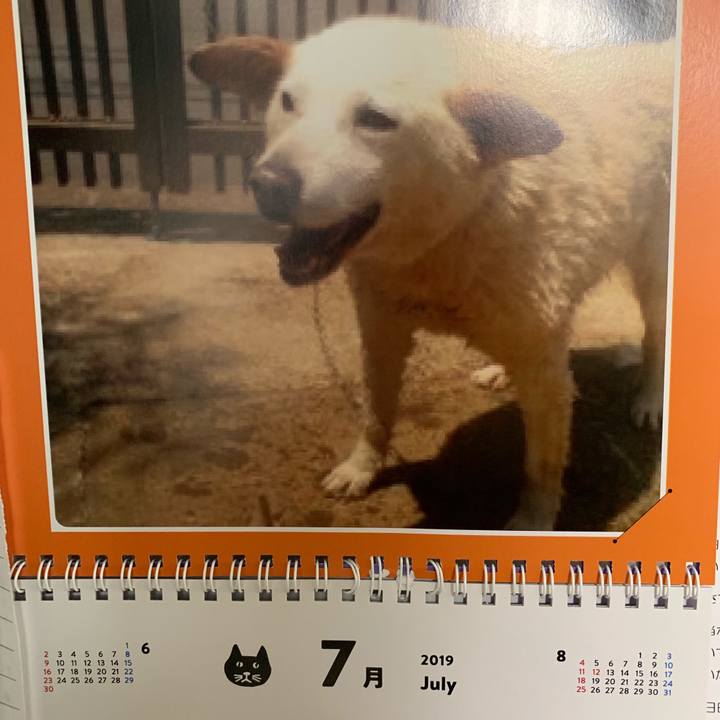 08811f89 5b62 471e aa49 3acb80bbf836 1561944738651