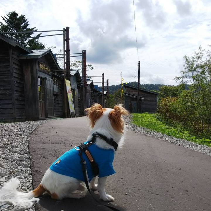 0881203c 7e7e 45a1 b7cc 97d2022b9447 1537069764882