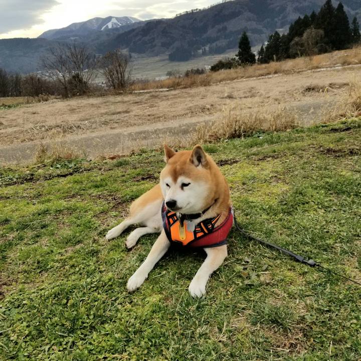 0881299b f2ea 409e aafb 25574be3b103 1607599675305