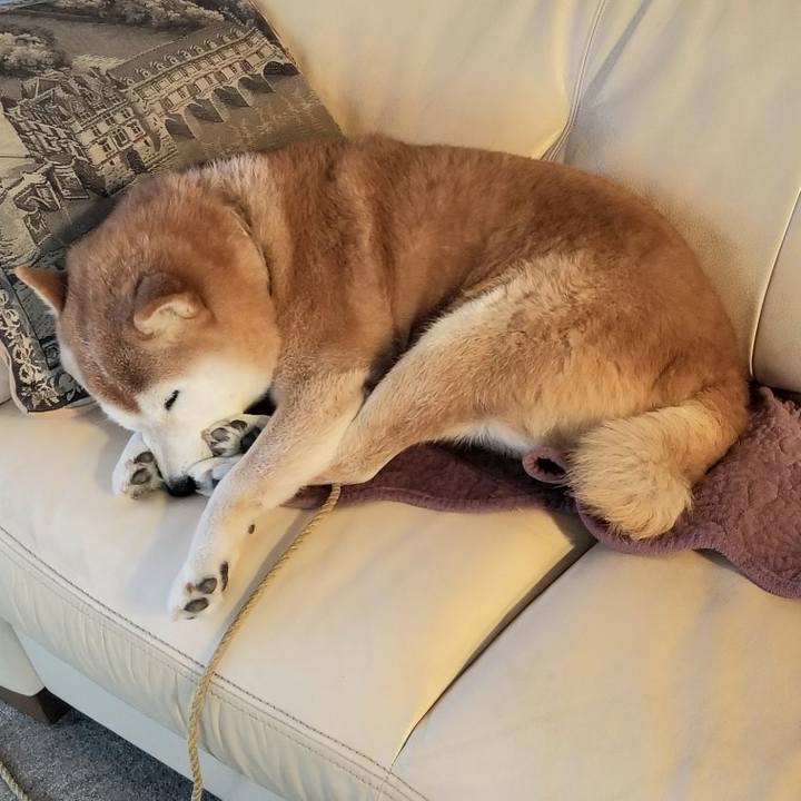 088147a5 5998 4da7 b00b 0952c0f955b1 1665185168723