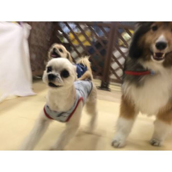 088173d1 6480 43a2 9c33 d191997ab0c9 1550004813958