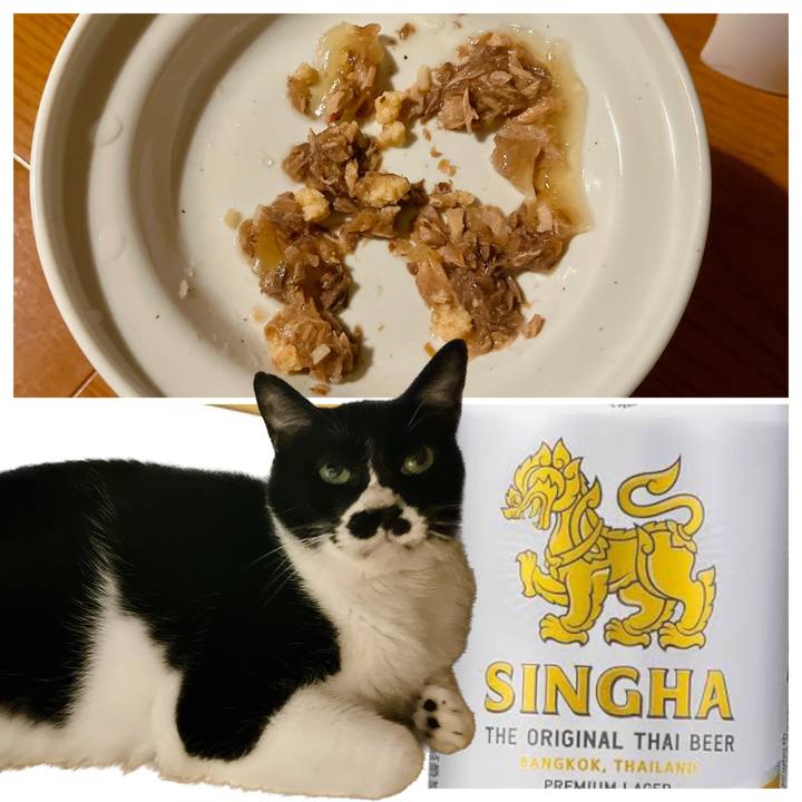 088196a4 1573 49c4 a0fe 43dd2949cb4d 1697459293630