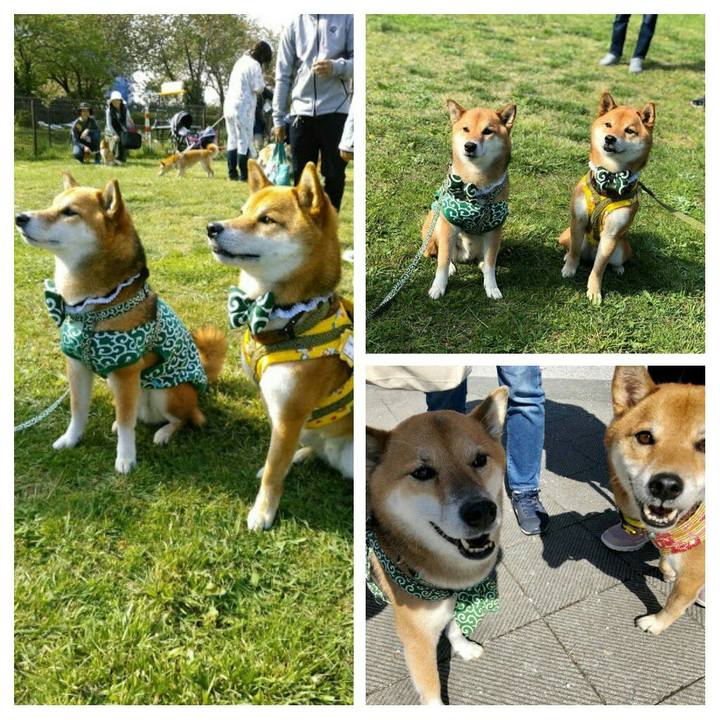 08819ff6 f8c4 4a57 a850 a6d2733b1d37 1540220181693