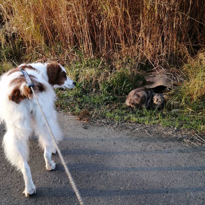 08825a0f 5cac 4b7b a47e 70112e8ac220 1576484371459