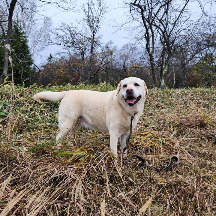 08828f72 55b2 4d89 b7aa 6fc06f1f4b57 1761213450785