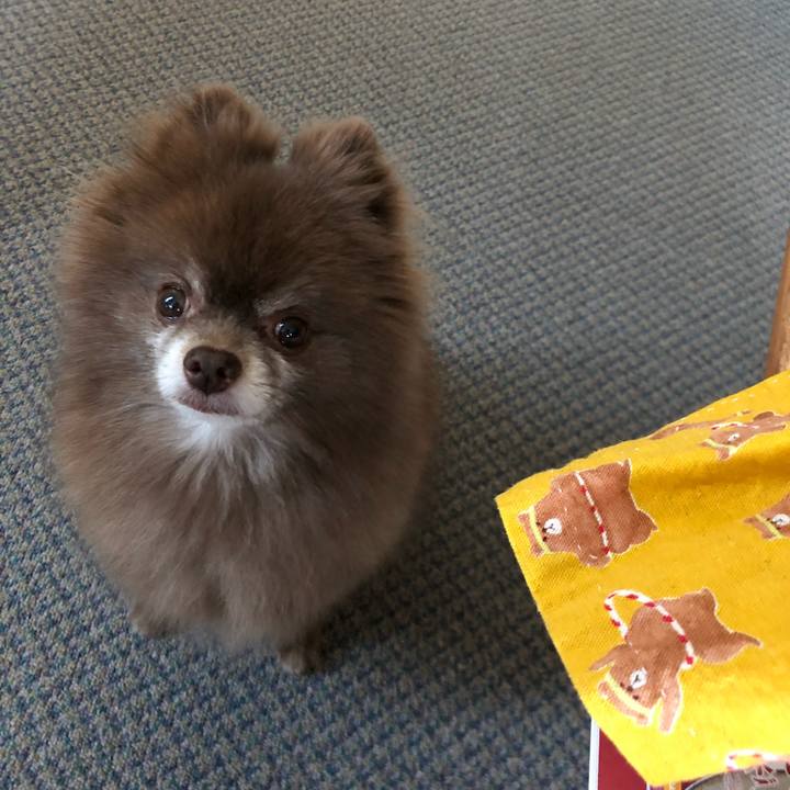 08829170 205a 46a8 a3a0 4aad9d6d0b63 1562791232373