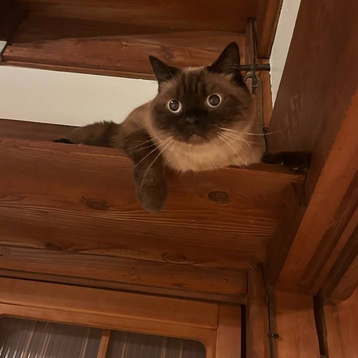 0882996d 84b9 4954 a3fc eb2c188c5584 1756983706879