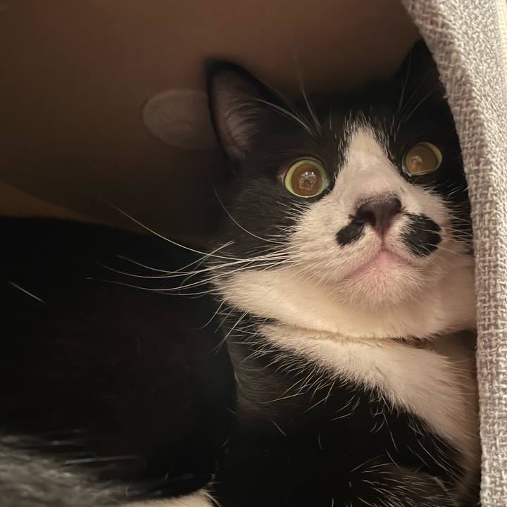 0882bc1d 9b6c 4d95 a3ab fb169de314c6 1724597911940