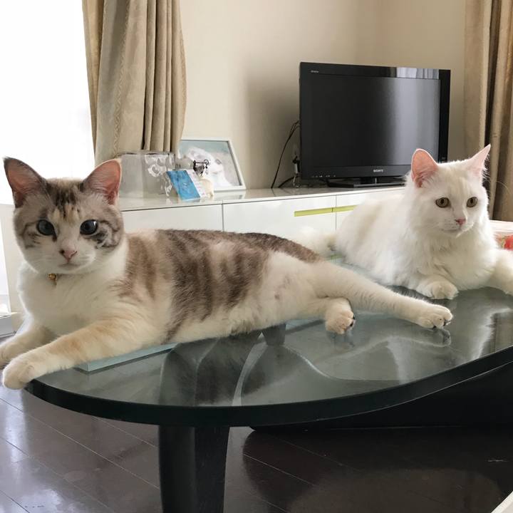 08834b94 e08d 4ac6 abc1 9caf47a66d38 1532162108160