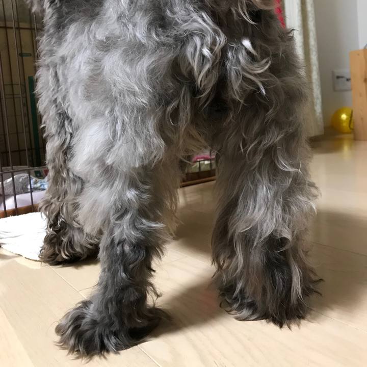 0883d150 b610 43b2 8b1a b7c19ef52134 1523545128084