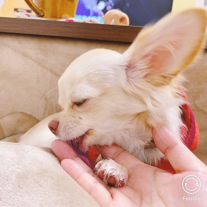 0883dc7e f9c2 448a b59c 1f88ffbd0f36 1607550881398