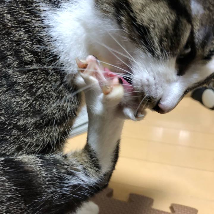 08841a24 fa56 4f05 9ab4 ee54c48927ea 1524859007448