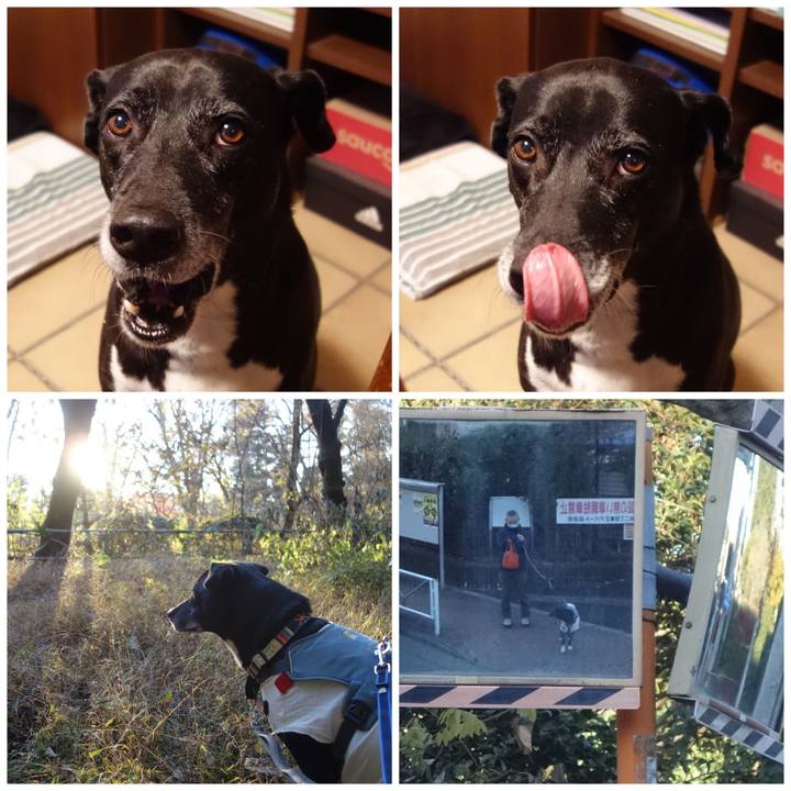 088423de 551b 406e 86e3 55252c4410bd 1734259461076