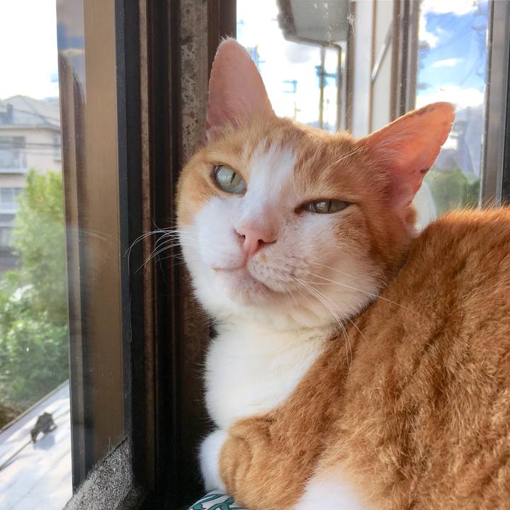 08844bf9 deb5 438f b0e8 0aa938ff4fdc 1560827507901