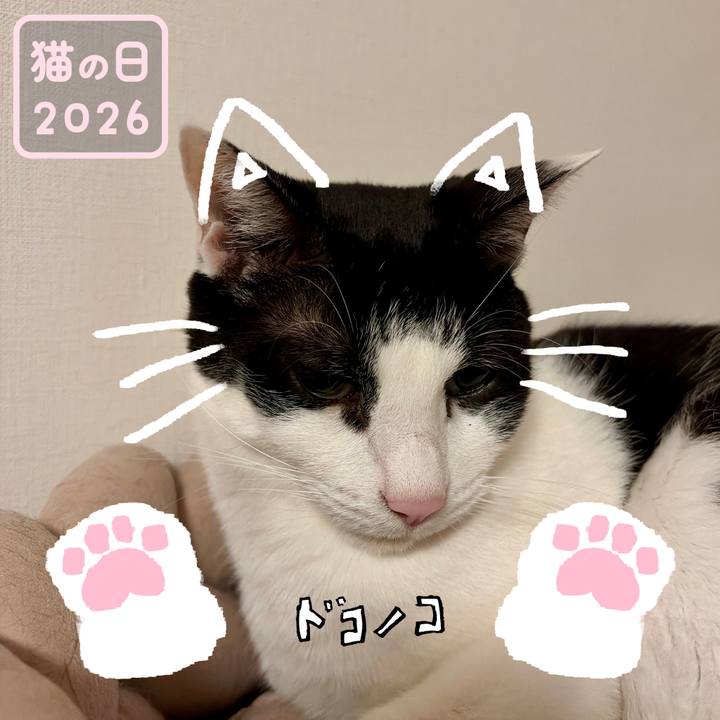 08848243 ba35 4cd1 b943 ee7d5689ac3a 1771776762496