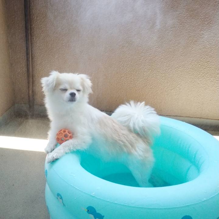 08849764 4948 407a 967d 5ed43dbcc6a1 1657120041049