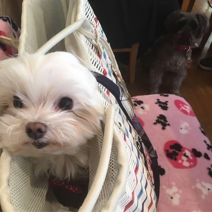 0884b939 1aa3 4aab 80b0 b6157d478a32 1523947196665