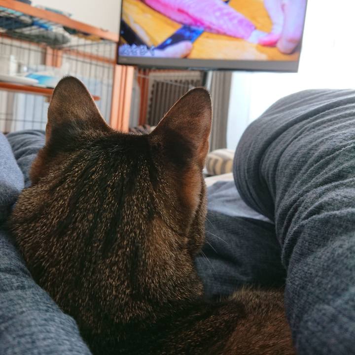 0884dfa0 2364 475b 8245 67b7275537f6 1609739071258