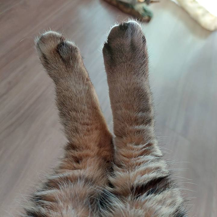 0884f150 4497 4495 b82e 92d63bf3bbbc 1728605702977