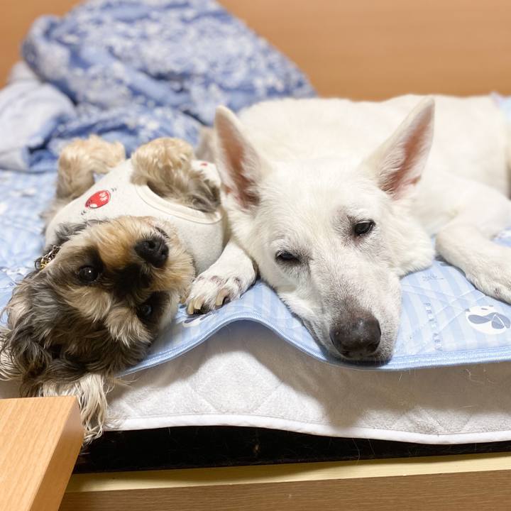 08852de0 16a1 41fe 81e0 df8d48aa46a6 1667383374471