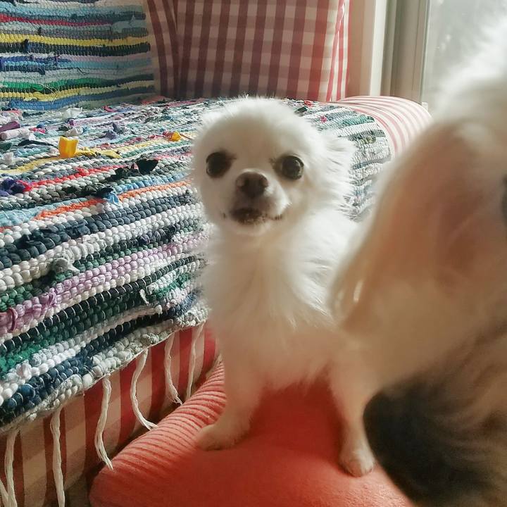 08852dff b858 4d89 9451 1190b64f6a71 1598053828663