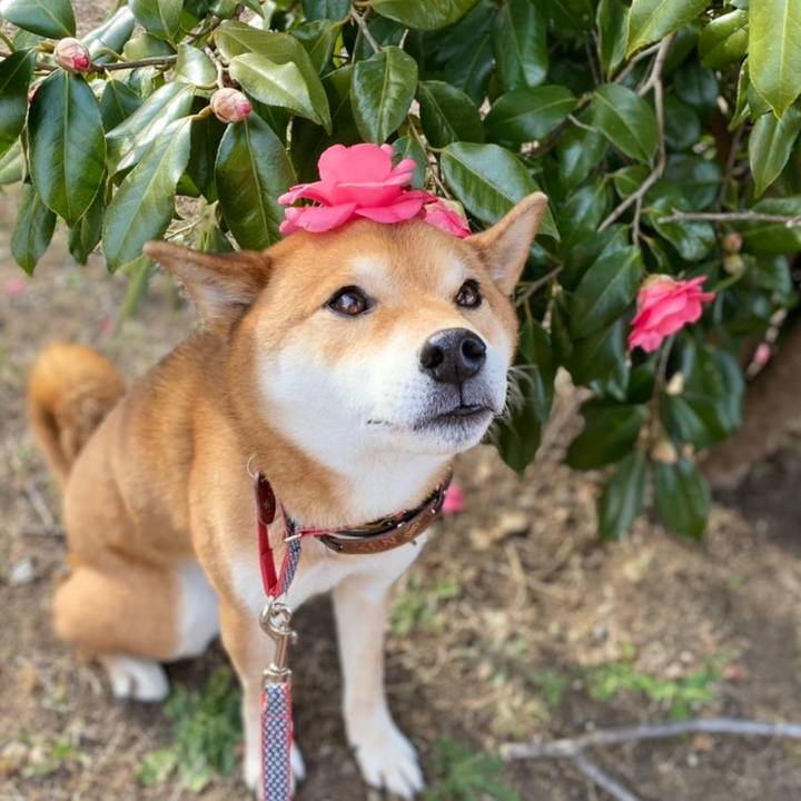 08854199 64e2 40bb a465 ad6c77d9d394 1613117093389