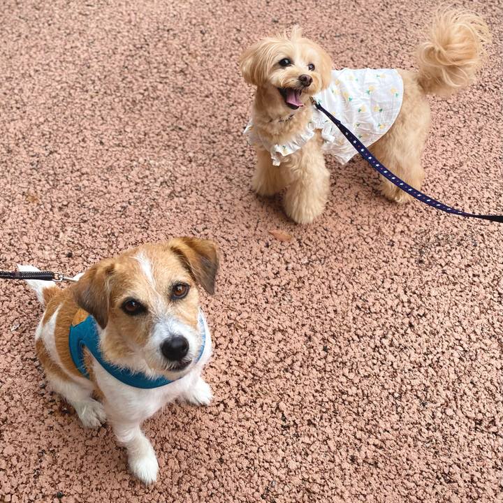 08855d67 0804 42e2 8ede 18140f22859c 1665404485160