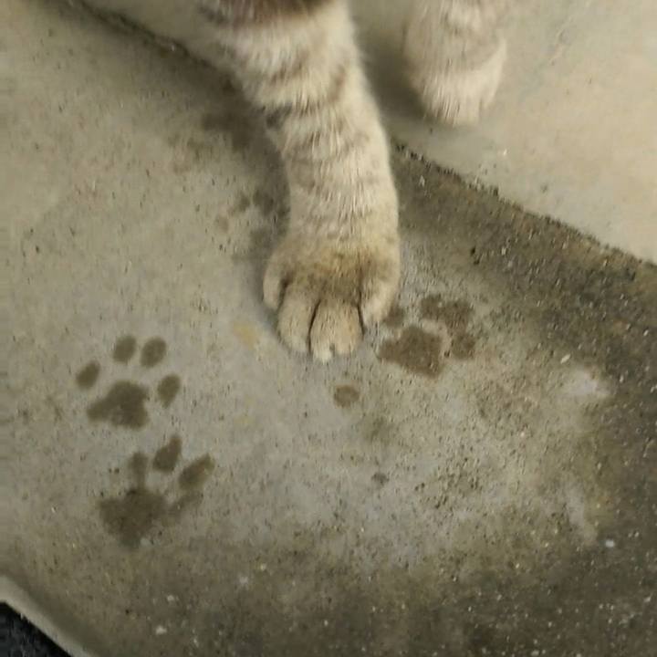 08855e1b f705 412f ba10 c92f47077eb8 1527667016777