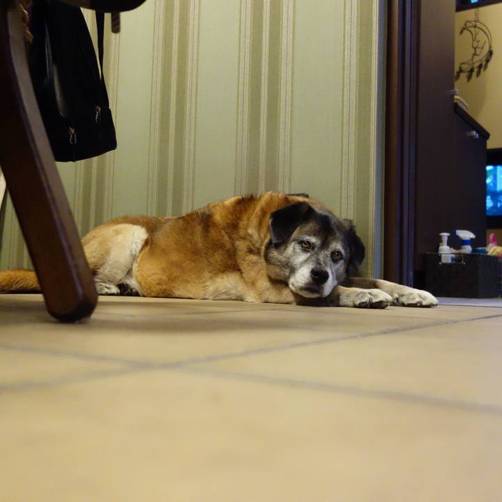 08857d3e 9ae0 4000 a744 7b07b21f23d3 1669251746352