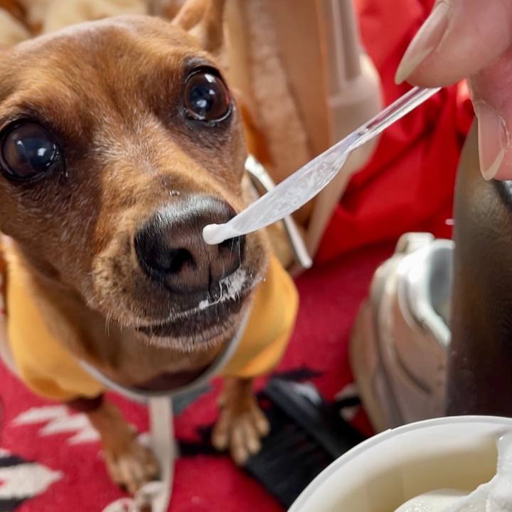 08859498 a1a5 42b4 97d1 323c903d42bb 1667132999558