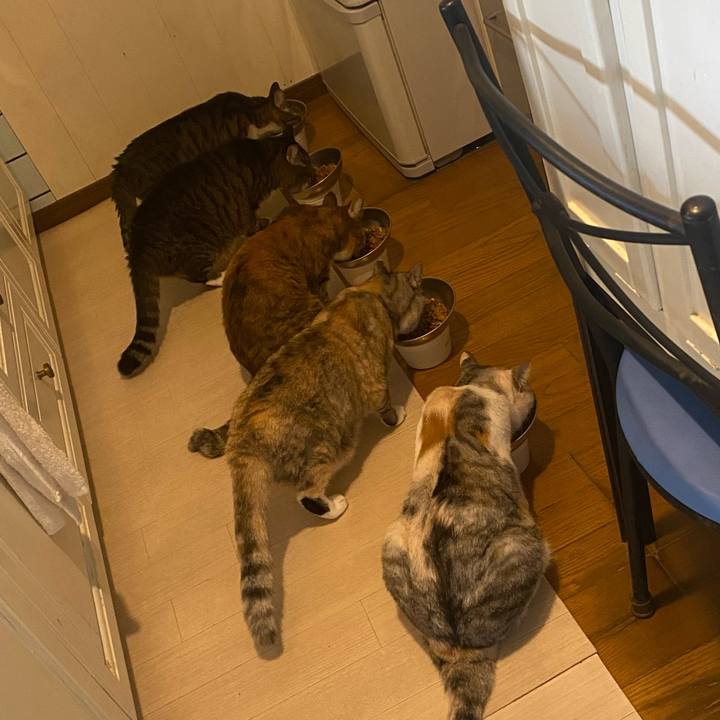 08859ac2 9dc4 4443 914b 9eba7f744af0 1694823246971