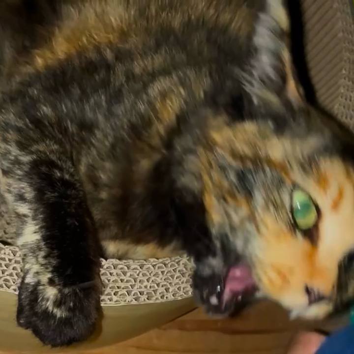 0885b7d8 a9ba 450a 8ddd 573bc99dad93 1748120471478