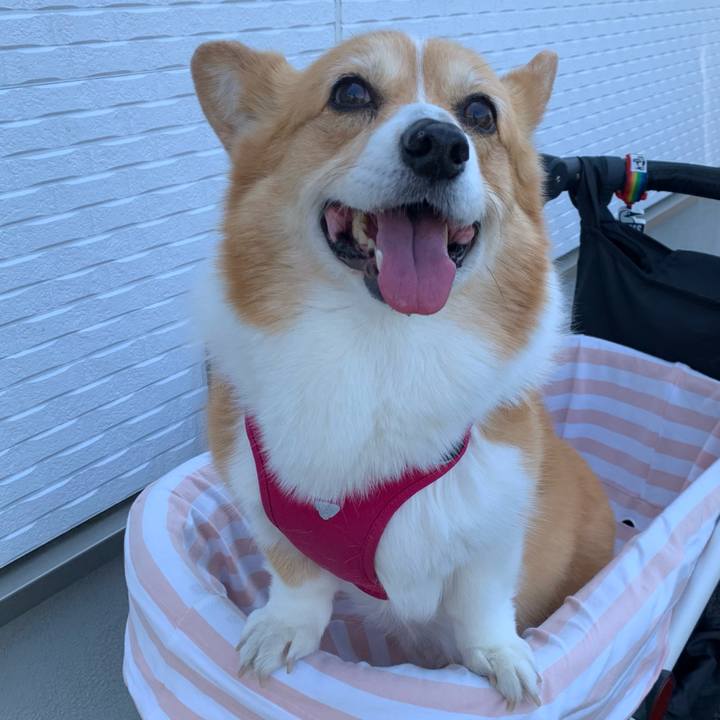 0885ba5e caae 407a 8572 02b7b71efb7c 1682992299691