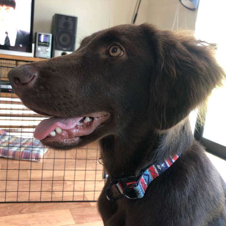 0885e8cb 8f29 47a2 97d7 e9b4eeb47bc9 1561155306510